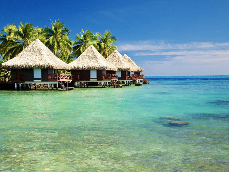 狗香水-趣味运动兑技