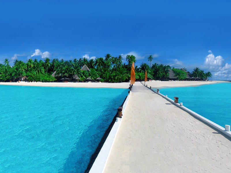 会奏乐的门柱-趣味运动兑技