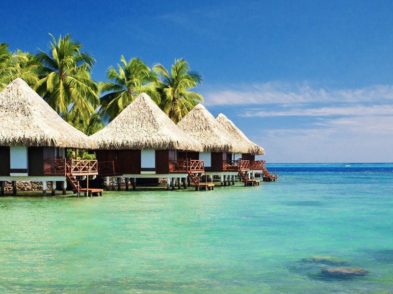 机器人擒匪-趣味运动兑技