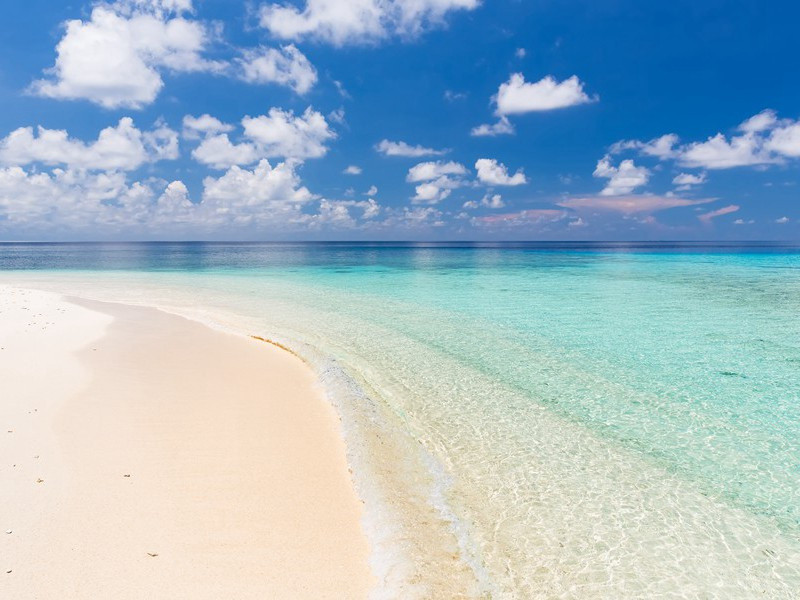 警坛趣闻-趣味运动兑技