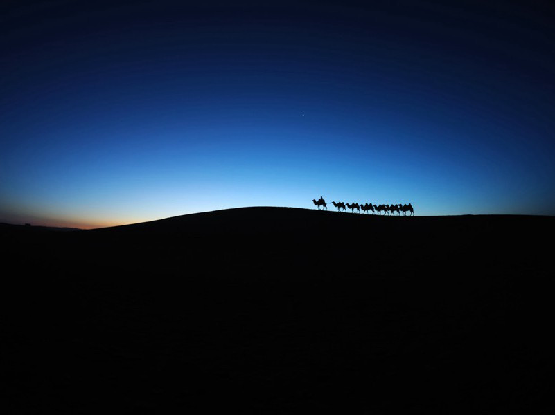 书趣-趣味运动兑技