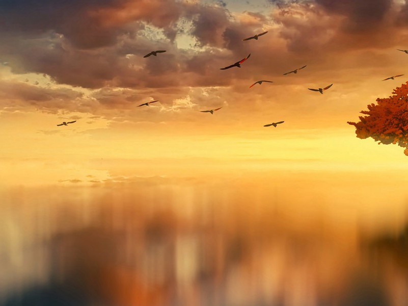 跑了54年才到终点-趣味运动兑技