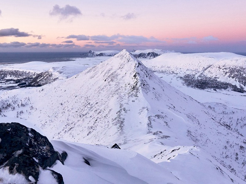 木乃伊杀窃贼-趣味运动兑技