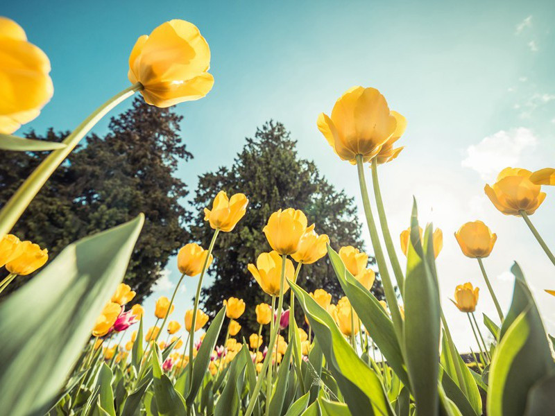 神枪手射击必人之球-趣味运动兑技