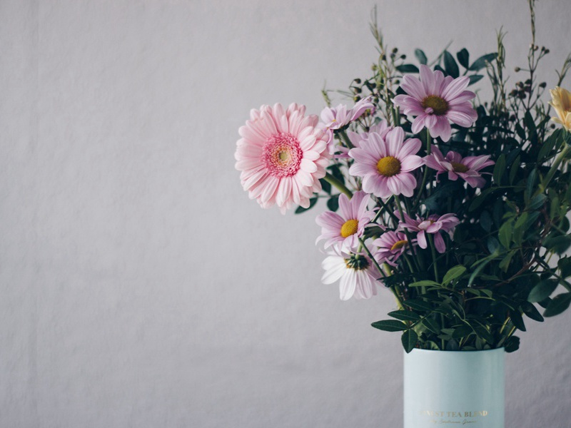 机器人可怀孕生子-趣味运动兑技