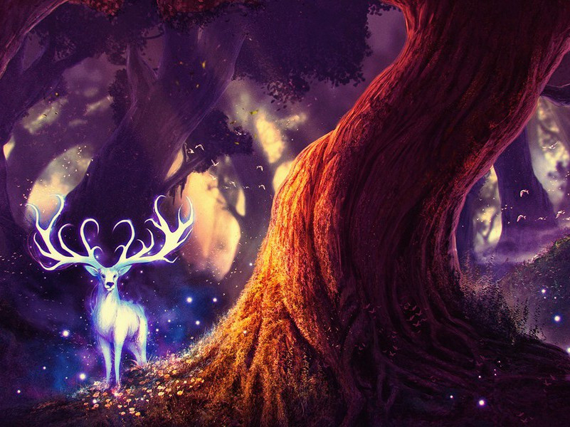 驱鸟的歌声-趣味运动兑技