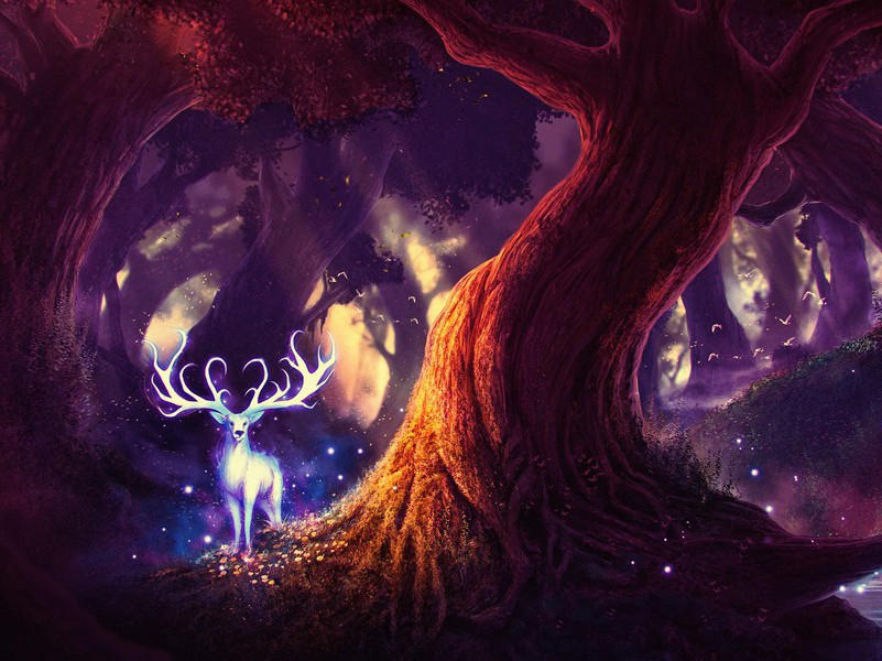 水造的房屋-趣味运动兑技