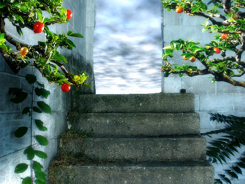 骄奢淫逸的垃圾王-趣味运动兑技