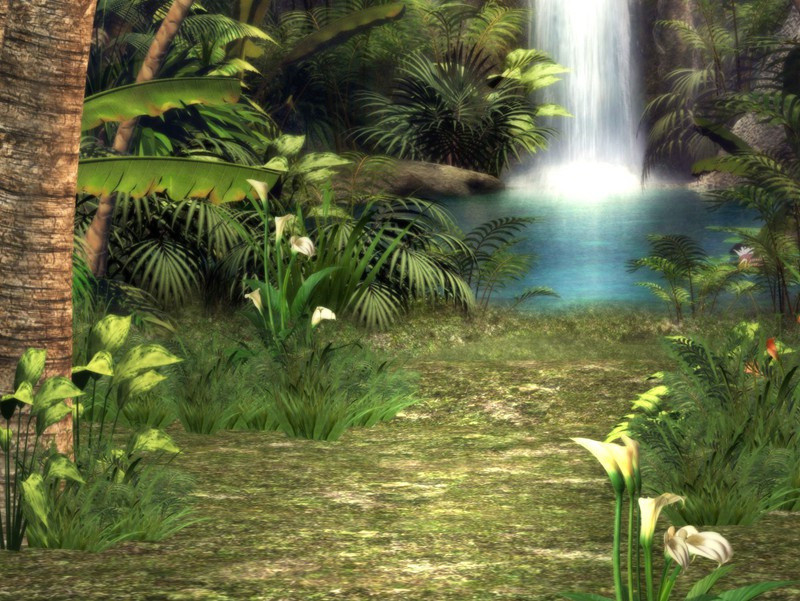 生母将儿换汽车-趣味运动兑技