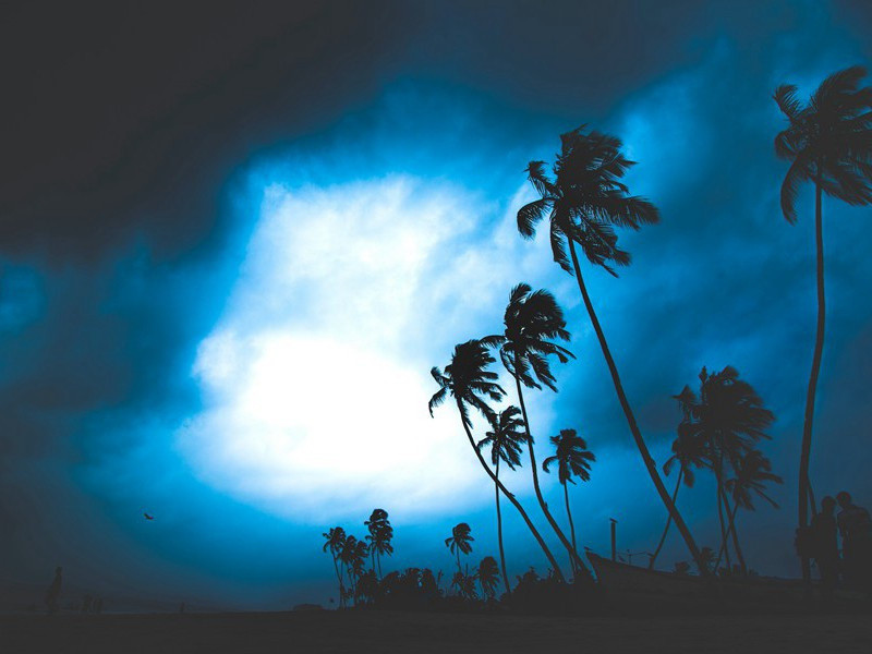 森林里跑出来的马-神秘运古起源考古大搜集