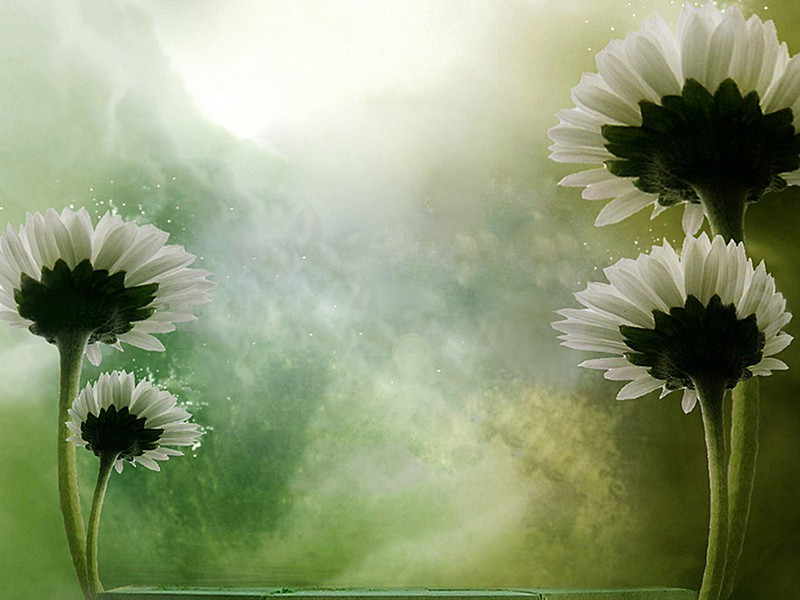 世界上时间最长的拳击赛-趣味运动兑技