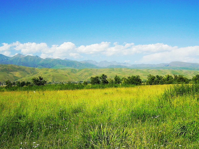 世界第一的《圣经》-趣味运动兑技