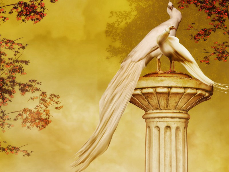 全球最小的警察局-趣味运动兑技