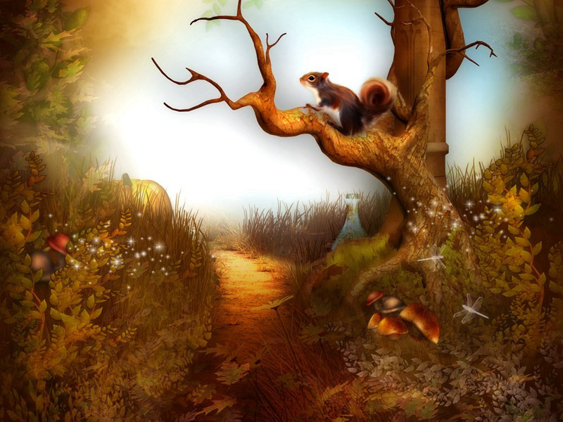 世界上最小的城市-趣味运动兑技