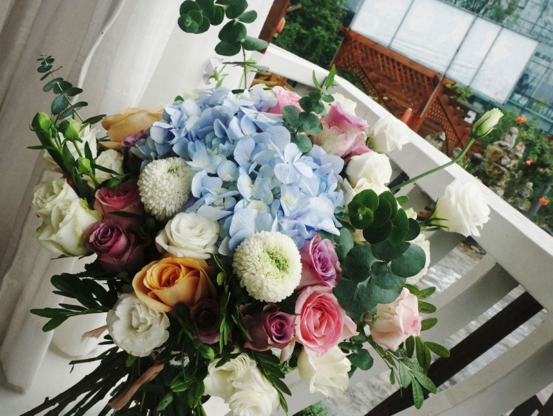 子弹杀死了恐龙-史前文明之谜