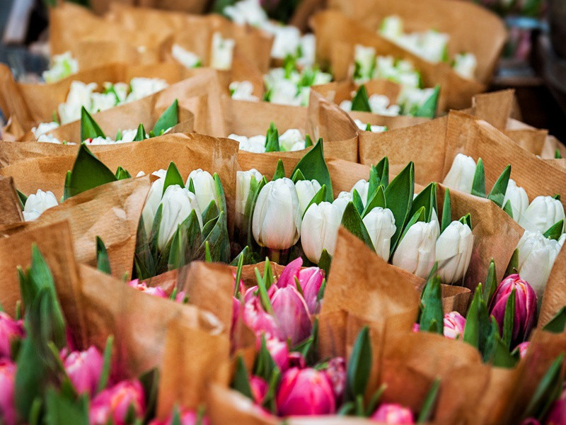 5000年前的核战争是谁打的-史前文明之谜