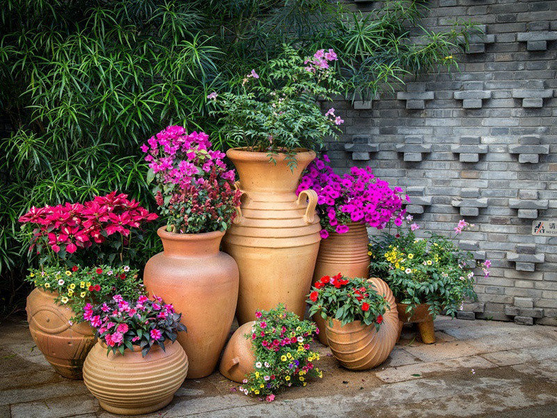 人类寻祖之谜-人类起源探秘