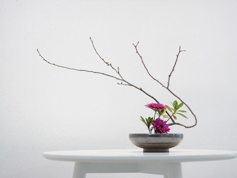 锡兰特人的传说中也有“太阳神”-中华民族起源之谜