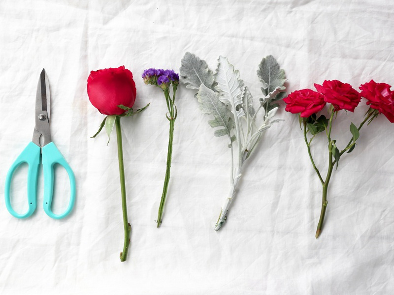 “阿尔文”号的惊人发现-海洋深处的“超级生命”之谜