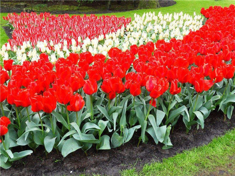 起源之谜中国早期人类化石——云南元谋猿人-中国古文化