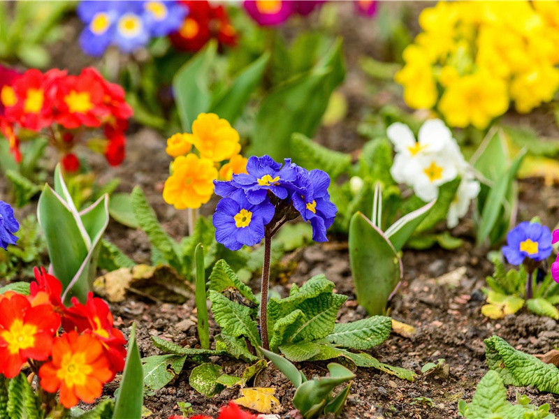 大汶口文化遗址-中国古文化