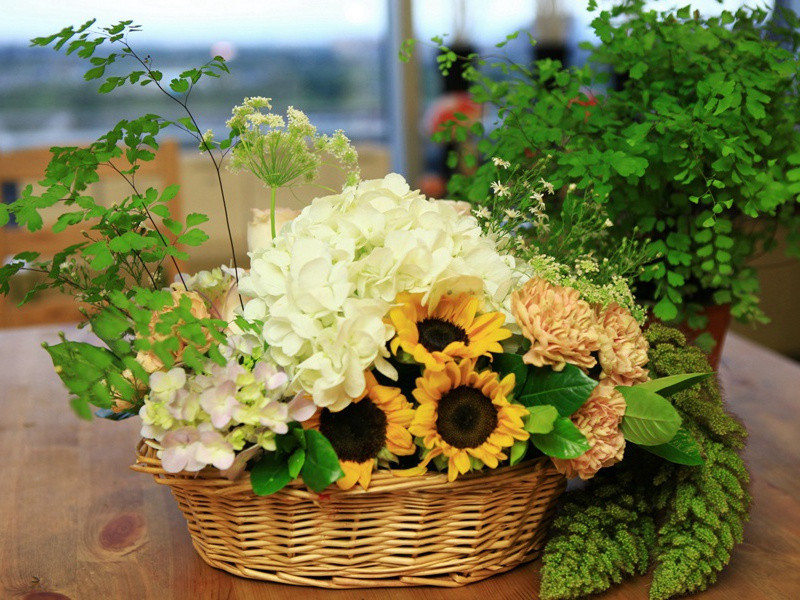 舞阳贾湖遗址-中国古文化