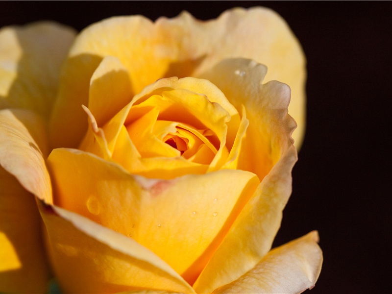 契刻符号——中国最早的文字-中国古文化