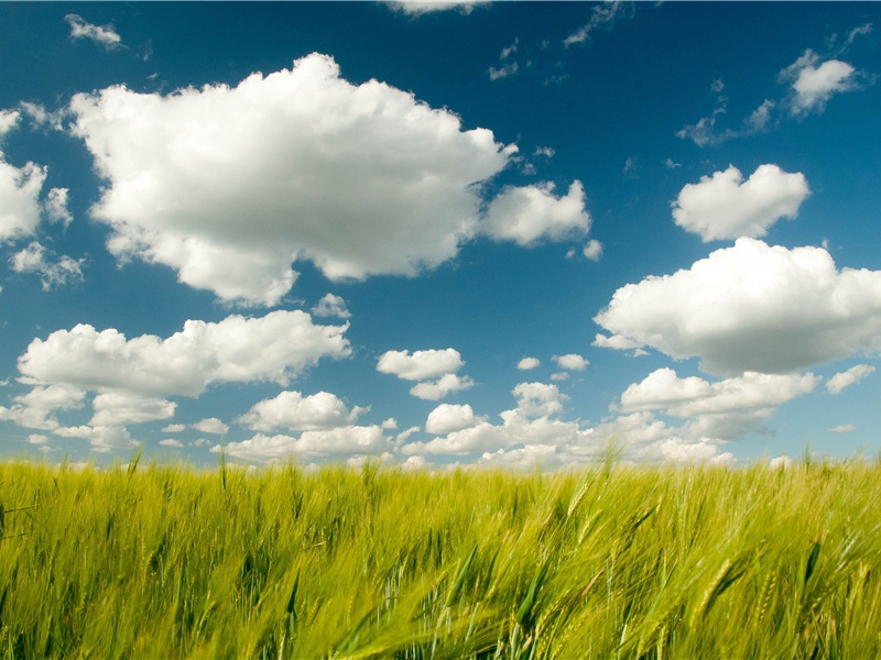 夏王朝寻踪——二里头遗址-中国古文化