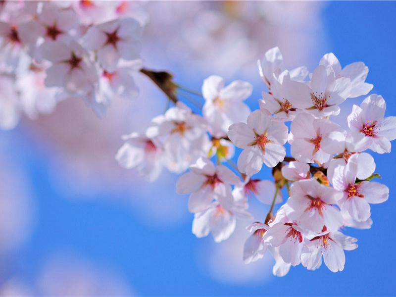 皇家瓷窑——南宋官窑遗址-中国古文化