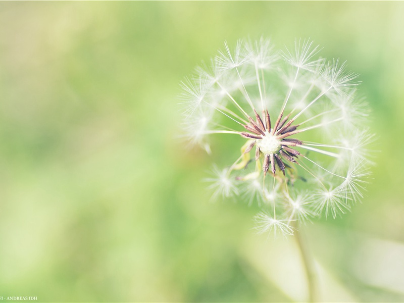 楚国王族墓地——下寺-中国古文化