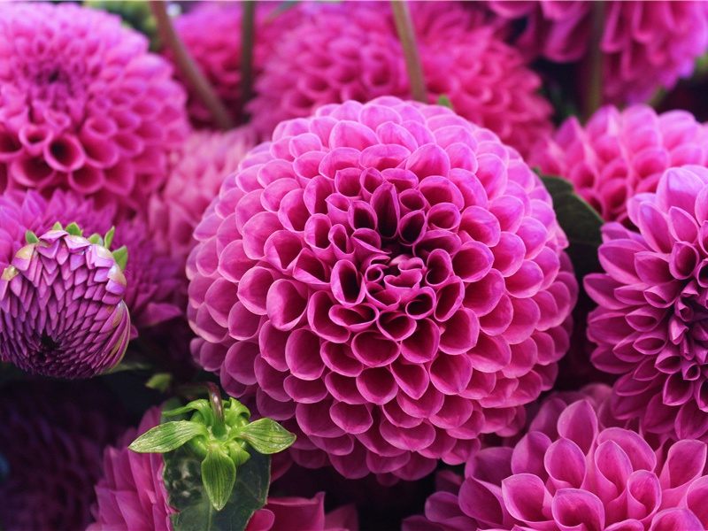 临沂银雀山汉简-中国古文化