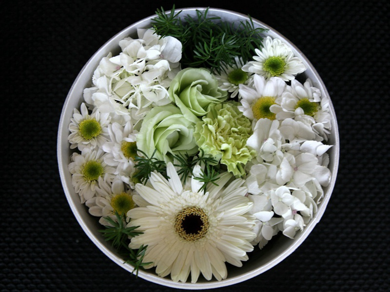 夏商文化的分界——偃师商城-中国古文化