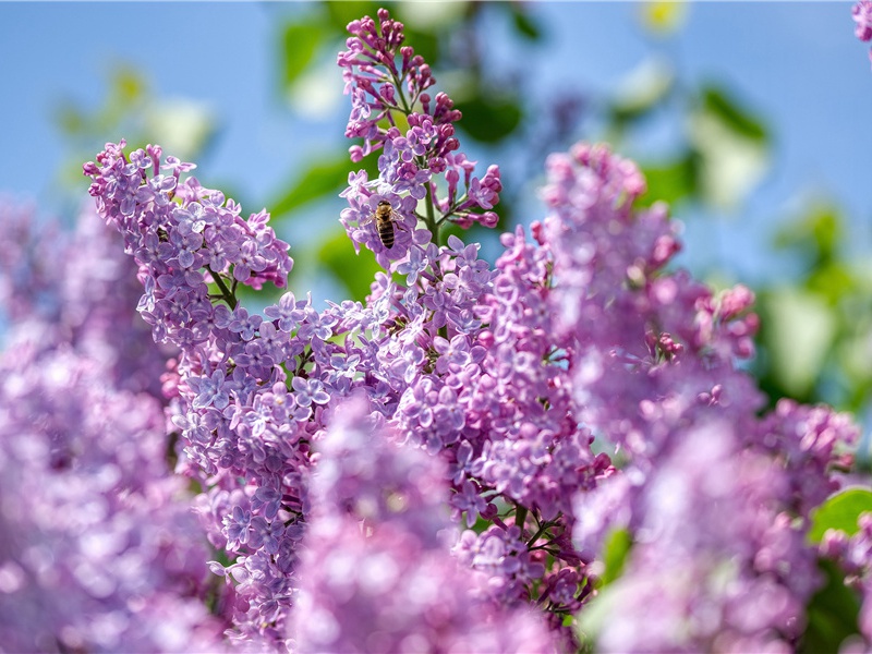 令人惊异的古葬技术-神奇的马王堆汉墓-中国古文化