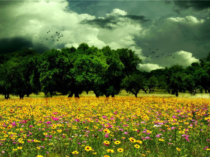 地下图书馆-神奇的马王堆汉墓-中国古文化