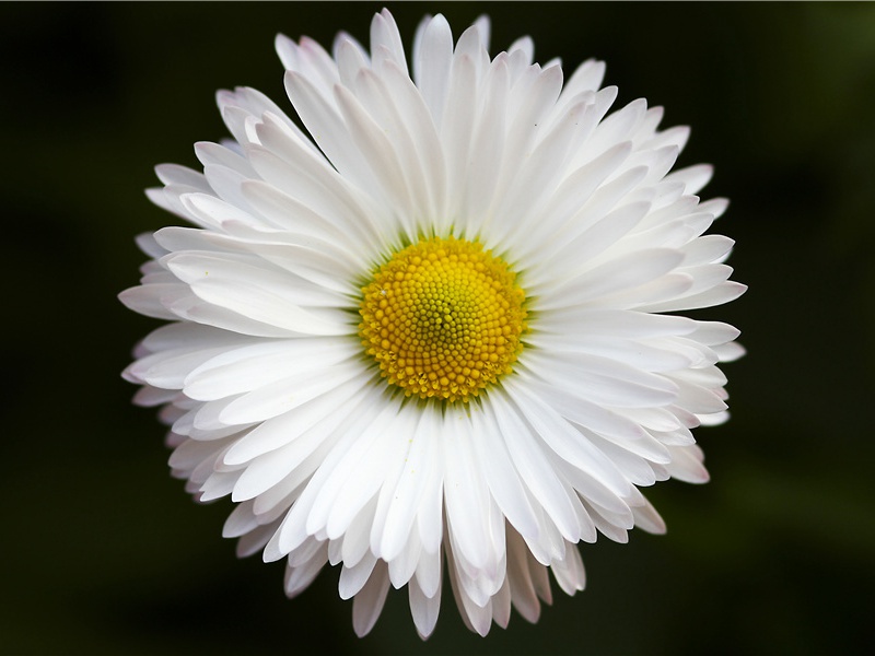 世界上最早的地图-神奇的马王堆汉墓-中国古文化