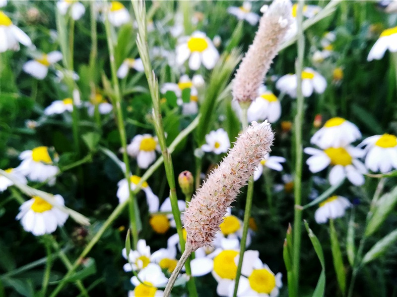 一项历时2100年的古科技试验-神奇的马王堆汉墓-中国古文化