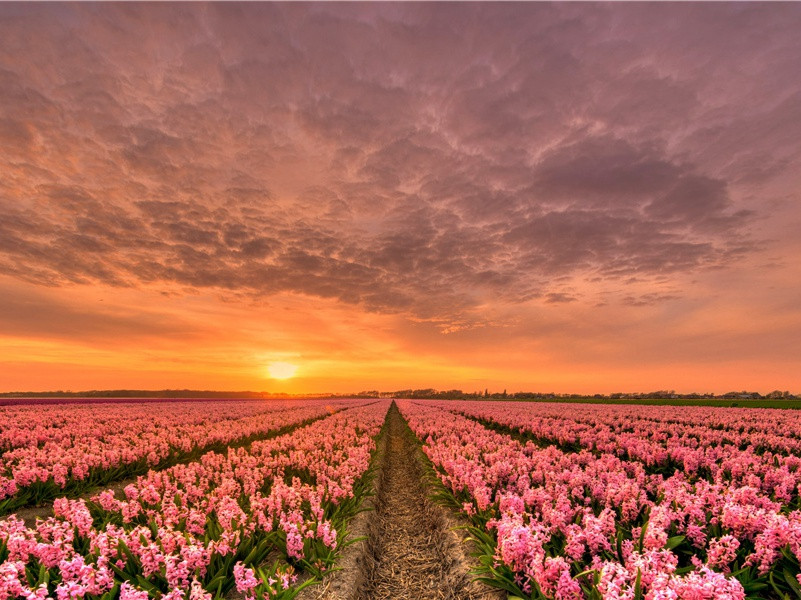 马王堆出土文物要求现代科技与古代科技接轨-神奇的马王堆汉墓-中国古文化