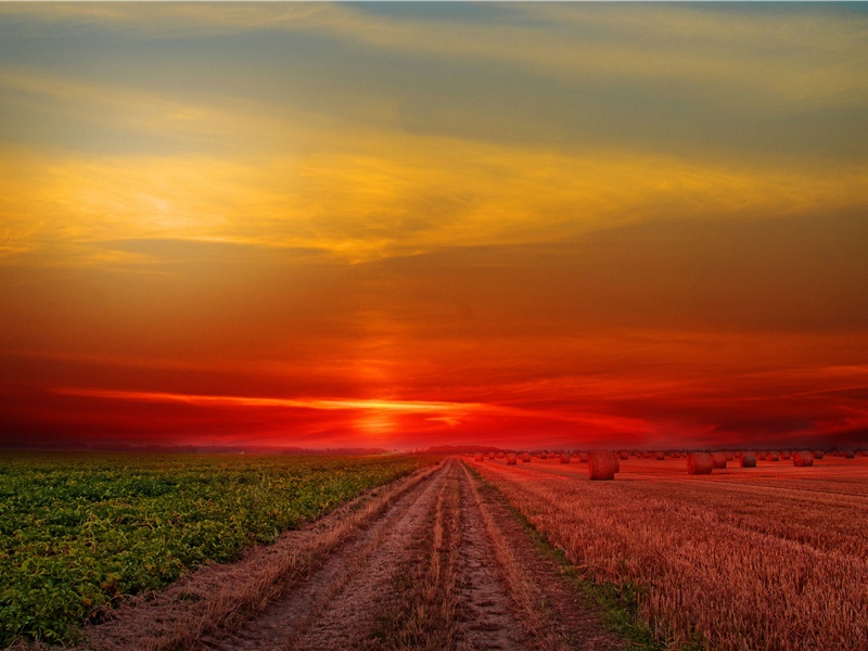 人类起源之谜-人类起源探索