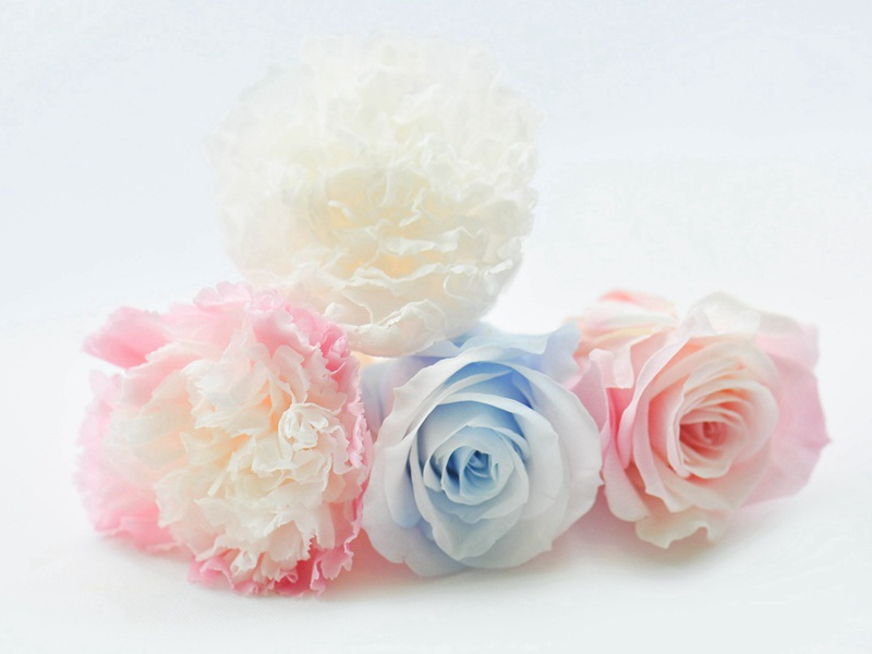 生死轮回之谜-灵魂世界探讨