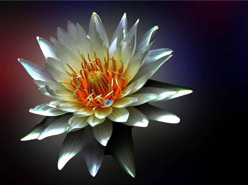 灵魂不灭与木乃伊-灵魂世界探讨