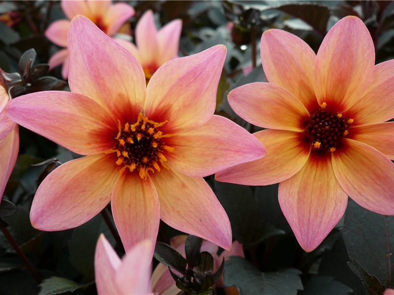 阴魂不散的传说-灵魂世界探讨