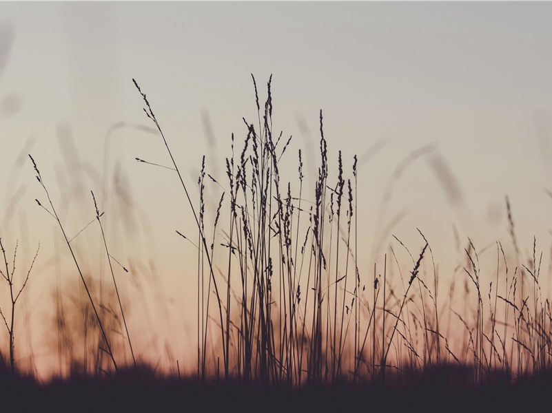 灵魂出窍之谜-灵魂世界探讨