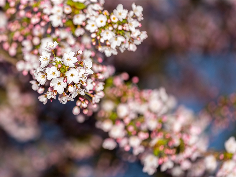 奇怪的送命的人-灵魂世界探讨