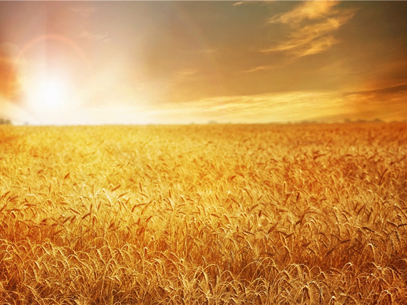 梦之谜-人体自然探秘