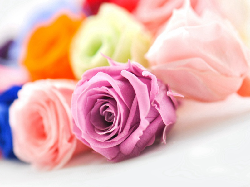 发出嗡嗡声的肌肉-人体自然探秘