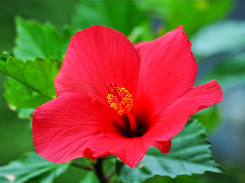 人体中的“矿藏”探奇-人体自然探秘