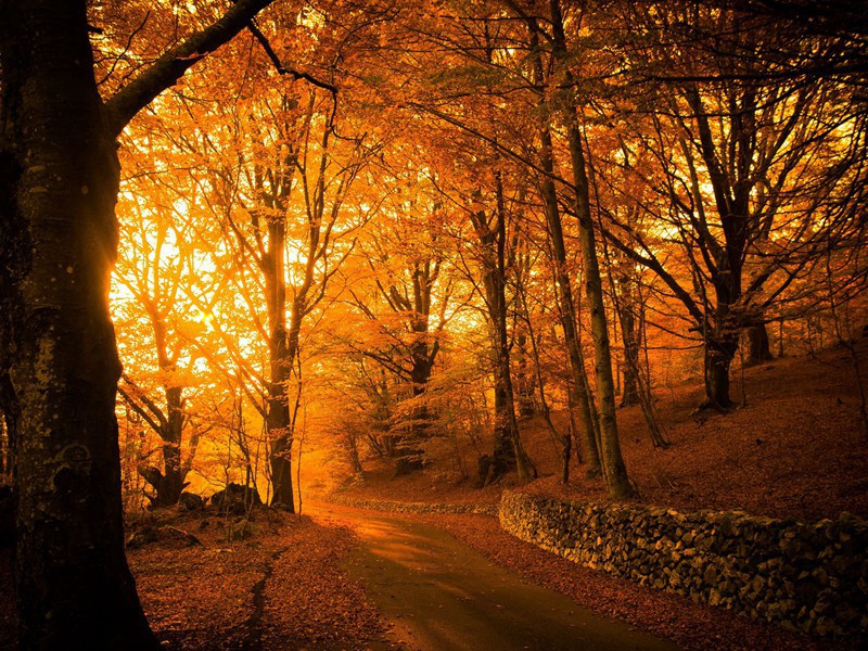 唾液的神奇功能-人体自然探秘