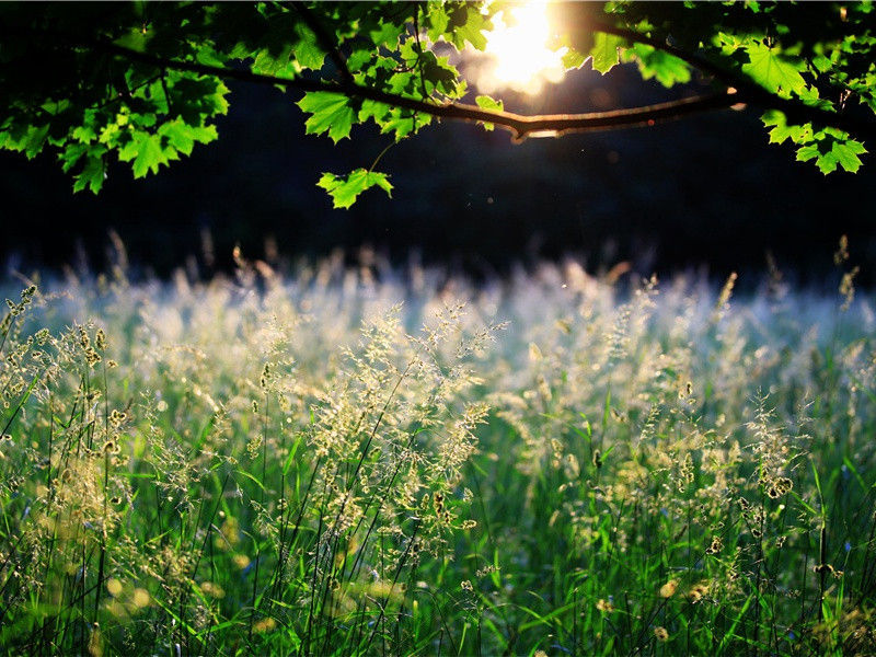 神秘的力量-人体自然探秘