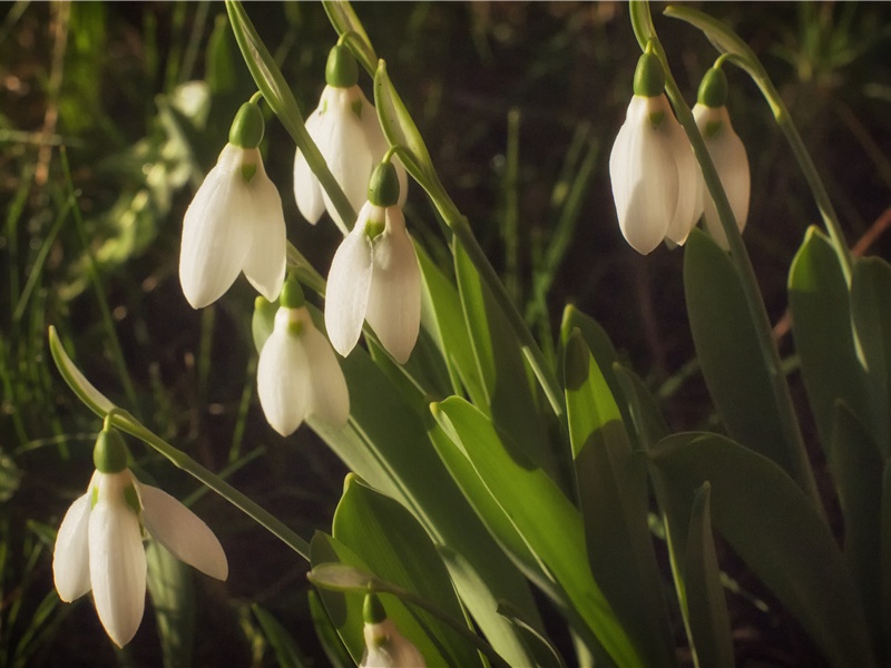 味觉之谜-人体自然探秘