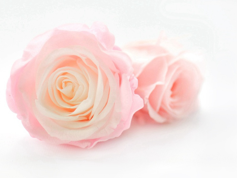 体温寻谜-人体自然探秘